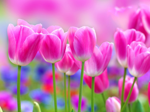 807467 (a): :2652x1989